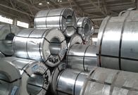 PPGL strich Hauptheißes eingetaucht galvanisierte Stahlspulen-Hersteller 0.33mmx1200mm vor